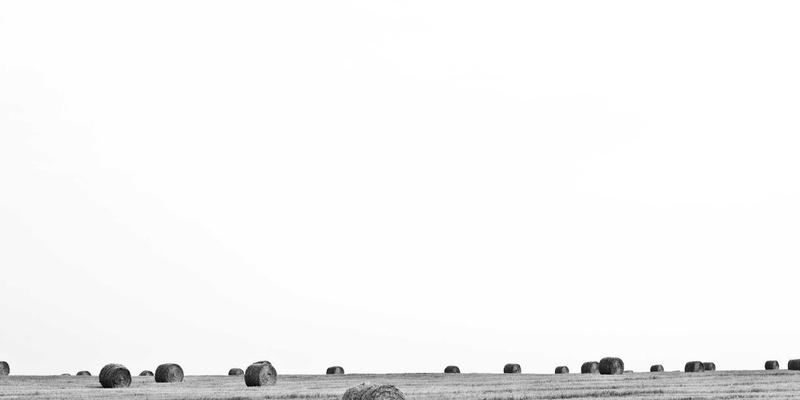 一起淘宝必备指南：三步看懂真实用户评价，避开网购陷阱