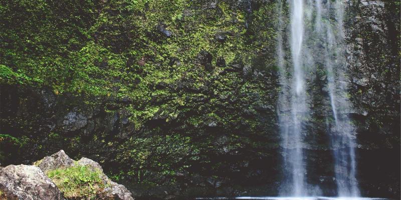 一起淘宝新体验：深度解析拼团、淘友圈与内容种草如何重塑淘宝购物