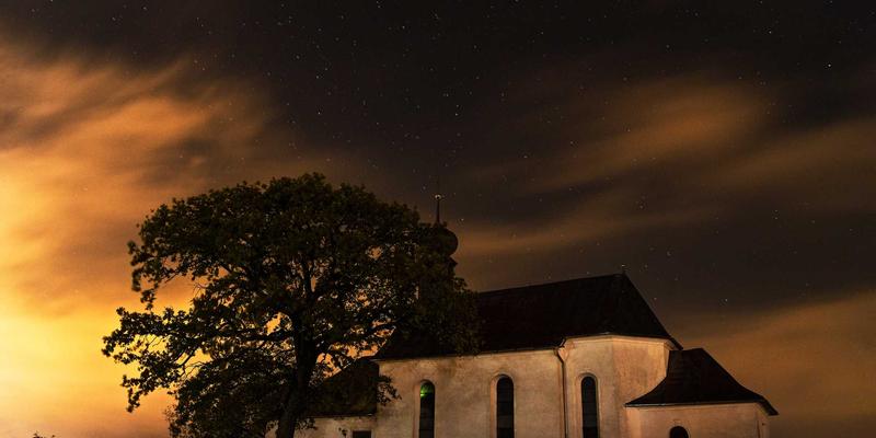 一起淘宝更安心：掌握这些技巧，轻松辨别真假商品与靠谱店铺