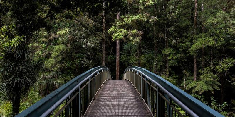 一起淘宝更省钱：揭秘淘宝“有好价”频道的智能比价机制与高性价比商品挖掘攻略