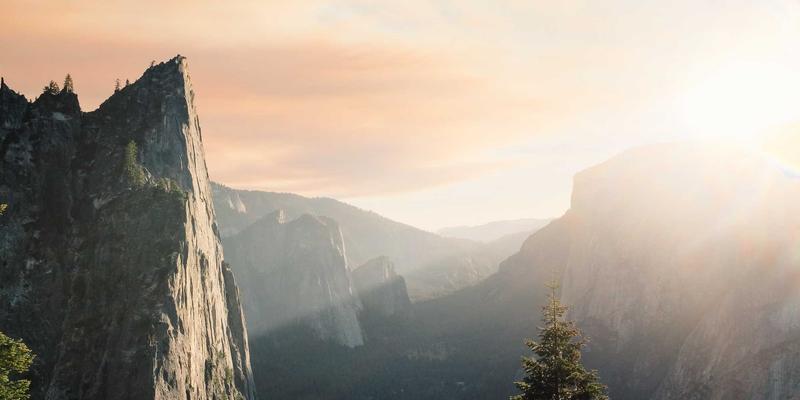 一起淘宝的购物心理学：从加购到付款的深度分析与省钱导购策略