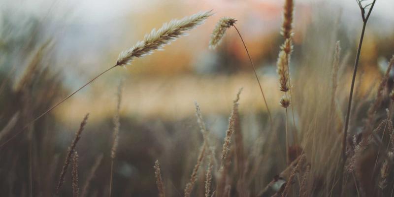 淘宝好物分享必备指南：看懂店铺动态评分（DSR），网购避坑更省心