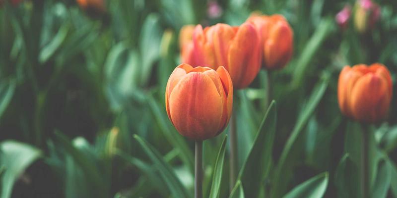 淘宝好物分享新思路：闲鱼二手交易与闲置经济省钱攻略