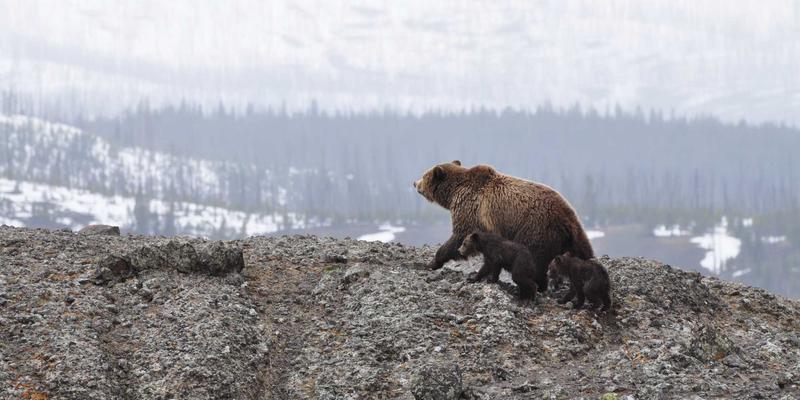 淘宝好物分享：新零售时代如何实现线上淘宝导购与线下体验的完美融合
