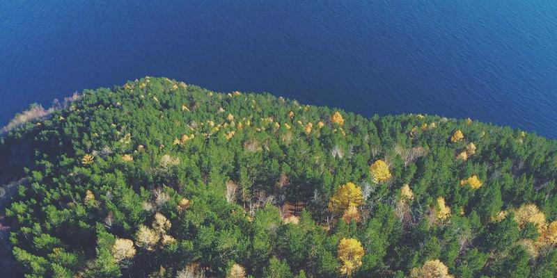 淘宝好物分享终极指南：如何利用算法推荐发现小众宝藏店铺