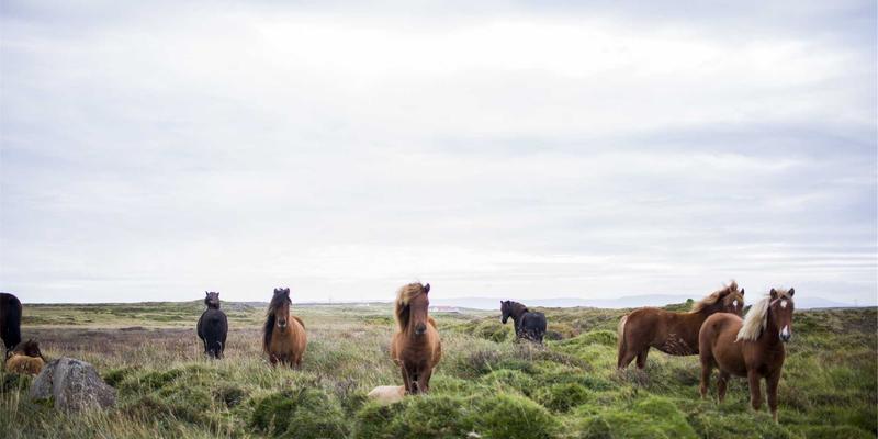 淘宝“省钱卡”与“红包省钱卡”数学计算：真的划算吗？一起淘宝网购指南