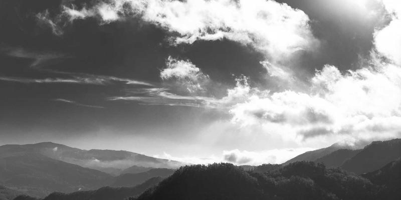 淘宝购物38：从“一起淘宝”到智慧导购的消费进化论