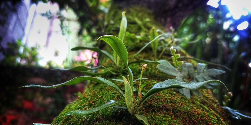 淘宝购物71：解锁隐藏优惠与年度好物精选导购