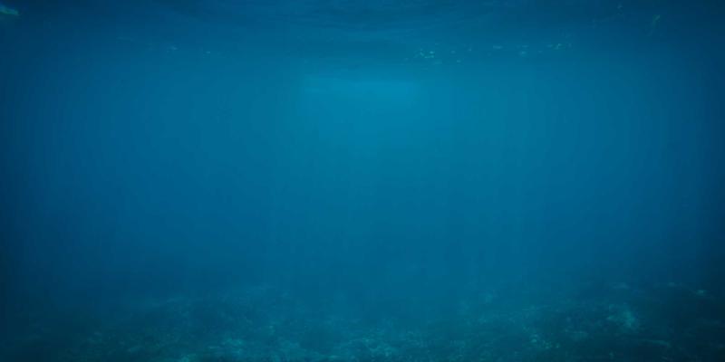 淘宝购物96：一份超实用的网购指南，带你一起淘宝，聪明消费