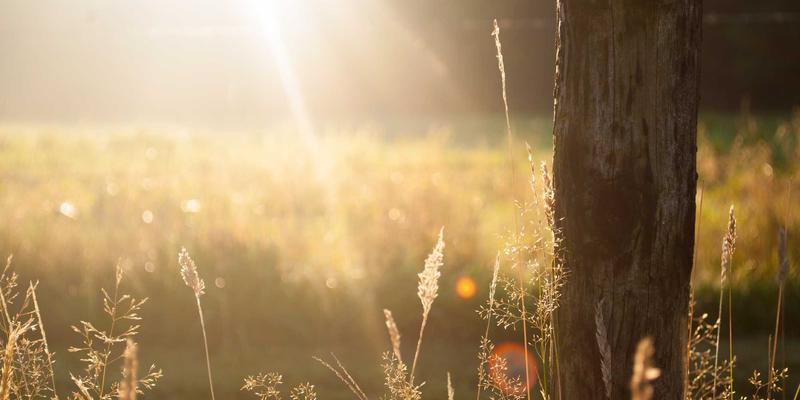 淘宝购物全攻略：从导购技巧到避坑指南，带你一起聪明淘宝