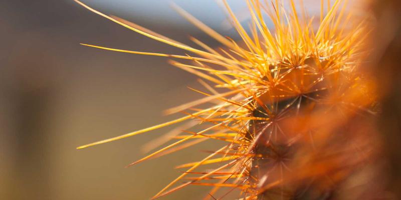 淘宝购物全攻略：解锁隐藏优惠，发现年度好物