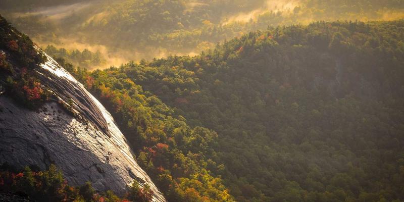 淘宝购物完全入门指南:从注册到淘到好物的全流程解析