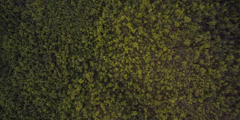 淘宝购物心理学：一份实用的网购指南，教你识别并避开冲动消费陷阱