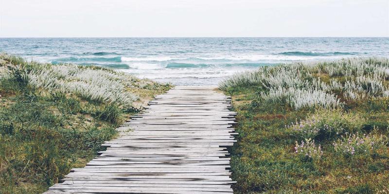 淘宝购物指南：从精明买家到绿色消费者，这份可持续消费导购请收好