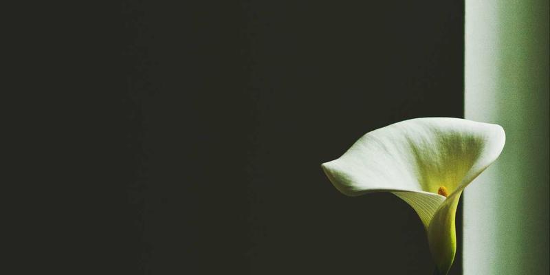 淘宝购物新趋势：一起淘宝，发现身边的农特好物