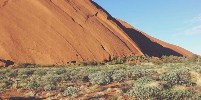 淘宝购物新趋势：社交电商模式下的拼单、分享与返利全攻略