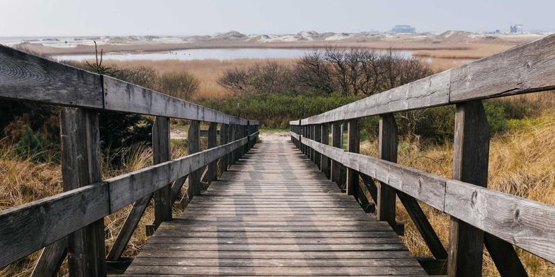 淘宝购物是什么？从“一起淘宝”到好物分享的全民消费新生态