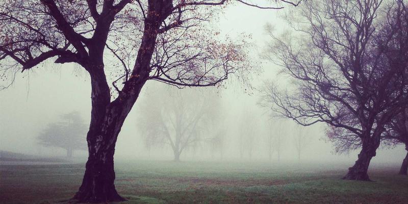 淘宝购物省钱秘笈：玩转店铺会员体系与积分兑换，一起淘宝享专属优惠