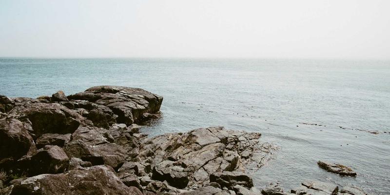 淘宝购物车优化策略：科学管理待购清单，提升决策效率与购物乐趣